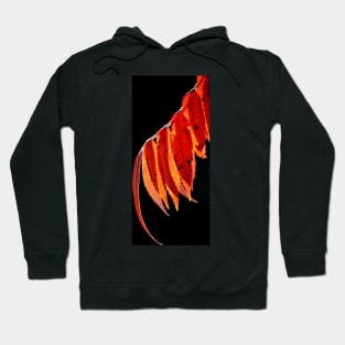 Sumac Hoodie